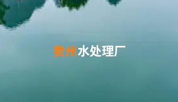 水处置惩罚